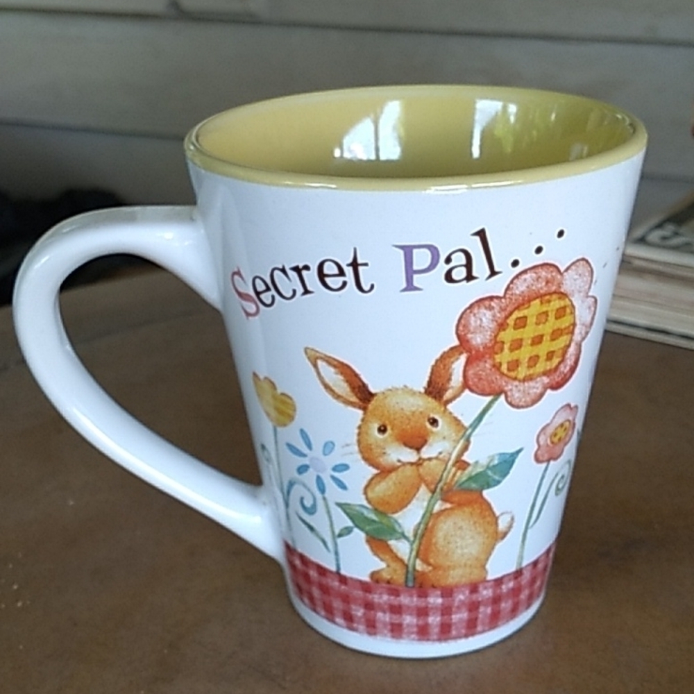 Secret Pal coffee ☕cup mug gift 🎁